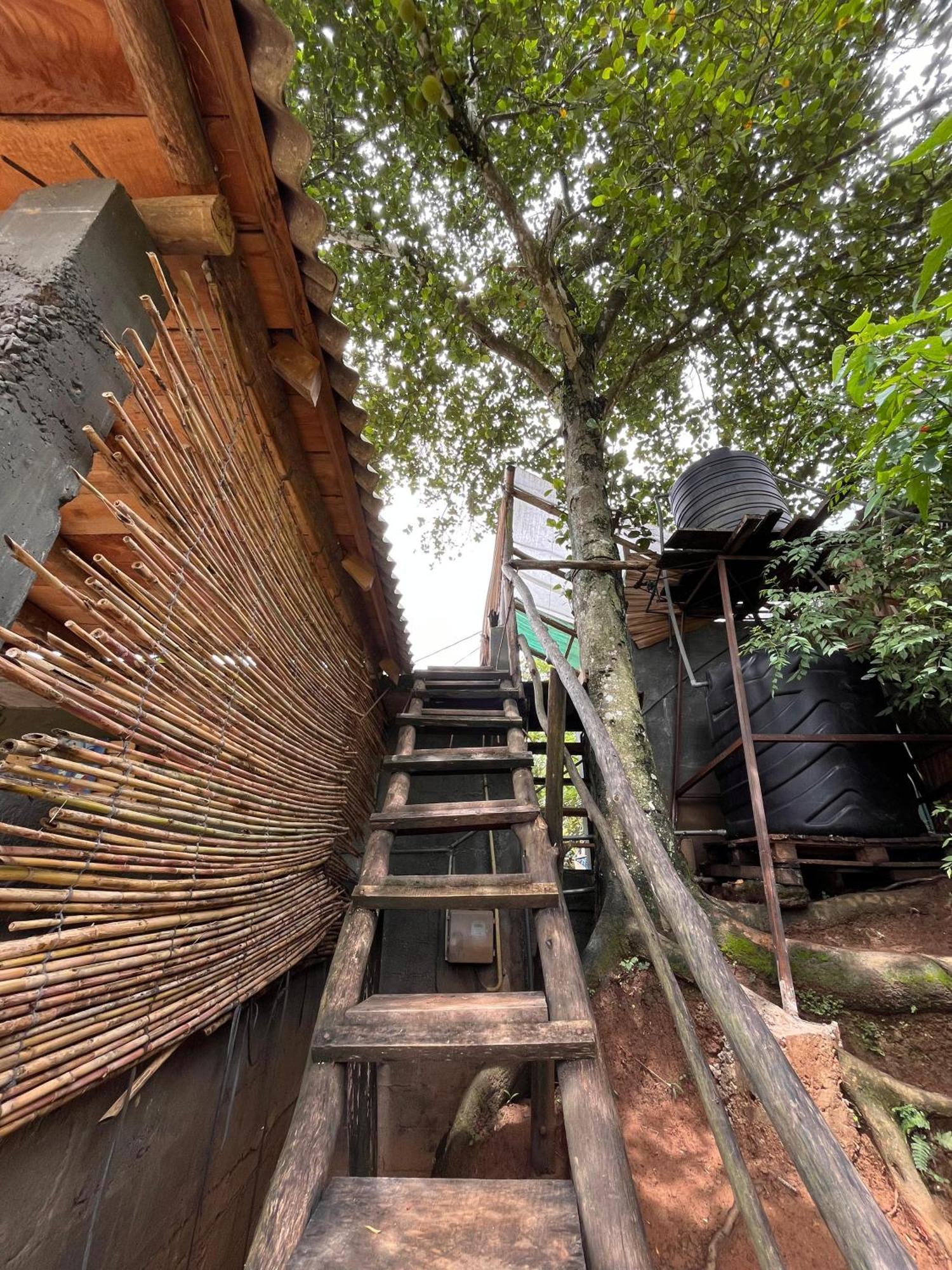 Backpackers Hostel Ella Bagian luar foto